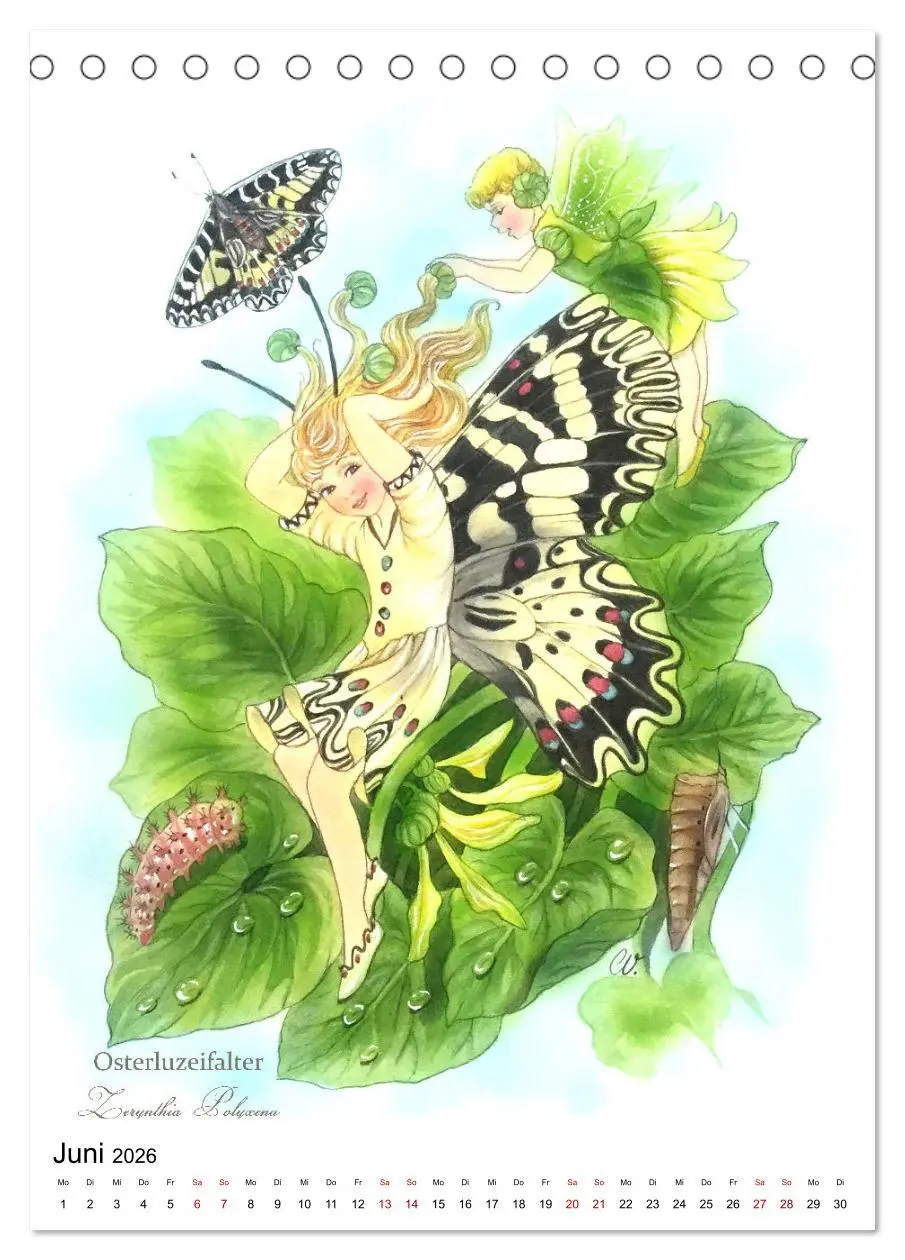 Bild: 9783516368123 | Schmetterlings-Elfen (Tischkalender 2026 DIN A5 hoch), CALVENDO...