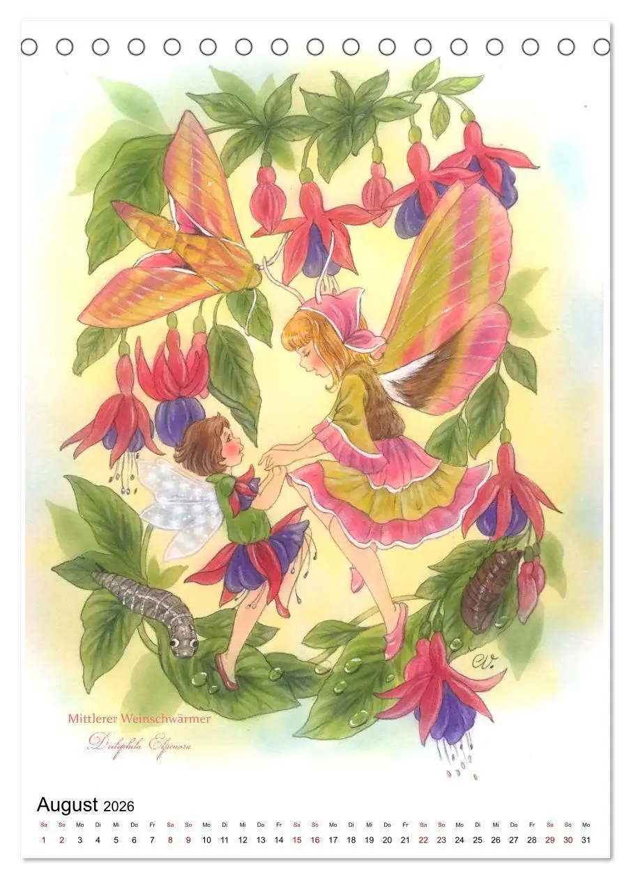 Bild: 9783516368123 | Schmetterlings-Elfen (Tischkalender 2026 DIN A5 hoch), CALVENDO...