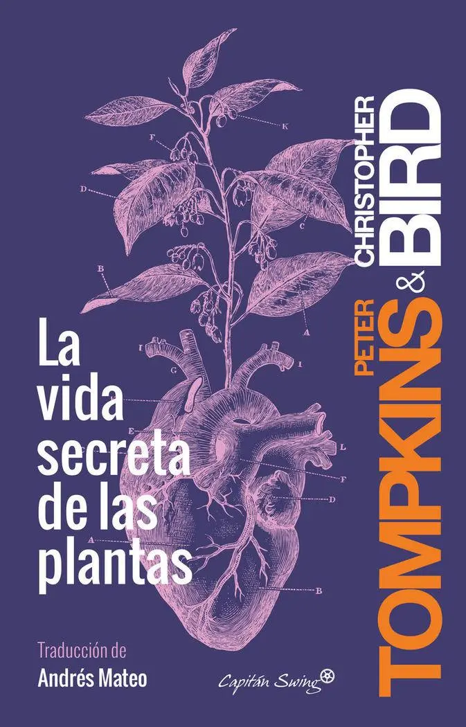 Cover: 9788494548123 | La vida secreta de las plantas | Taschenbuch | Kartoniert / Broschiert