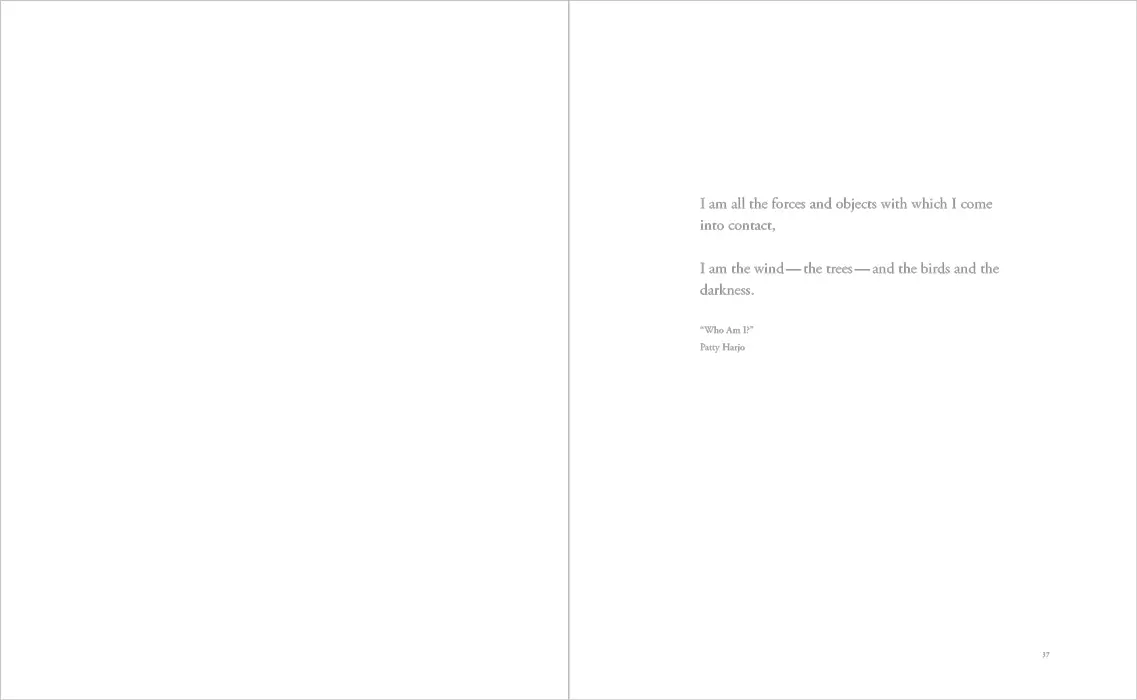 Bild: 9783775748223 | Christine Turnauer; . | I saw more than I can tell | Turnauer | Buch