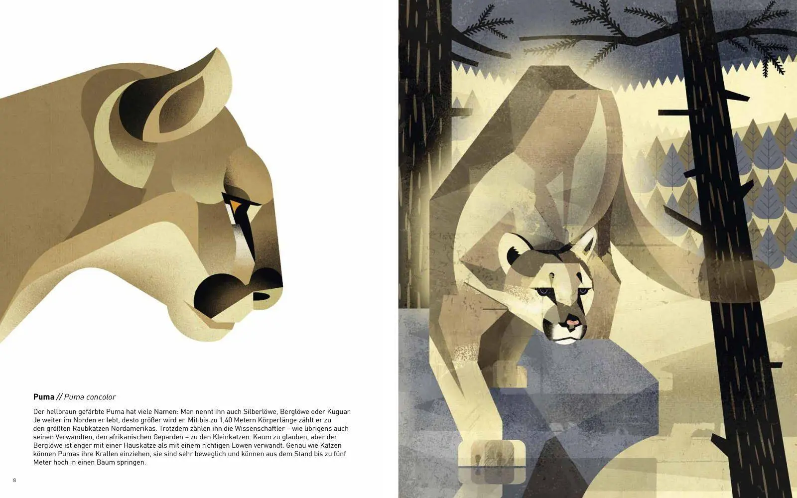 Bild: 9783868738223 | Die Welt der wilden Tiere | Im Norden | Dieter Braun | Buch | 144 S.
