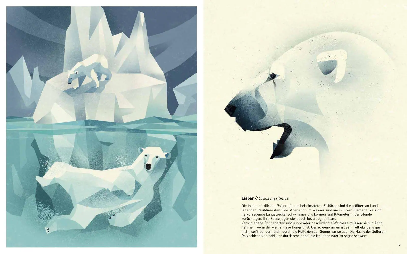 Bild: 9783868738223 | Die Welt der wilden Tiere | Im Norden | Dieter Braun | Buch | 144 S.