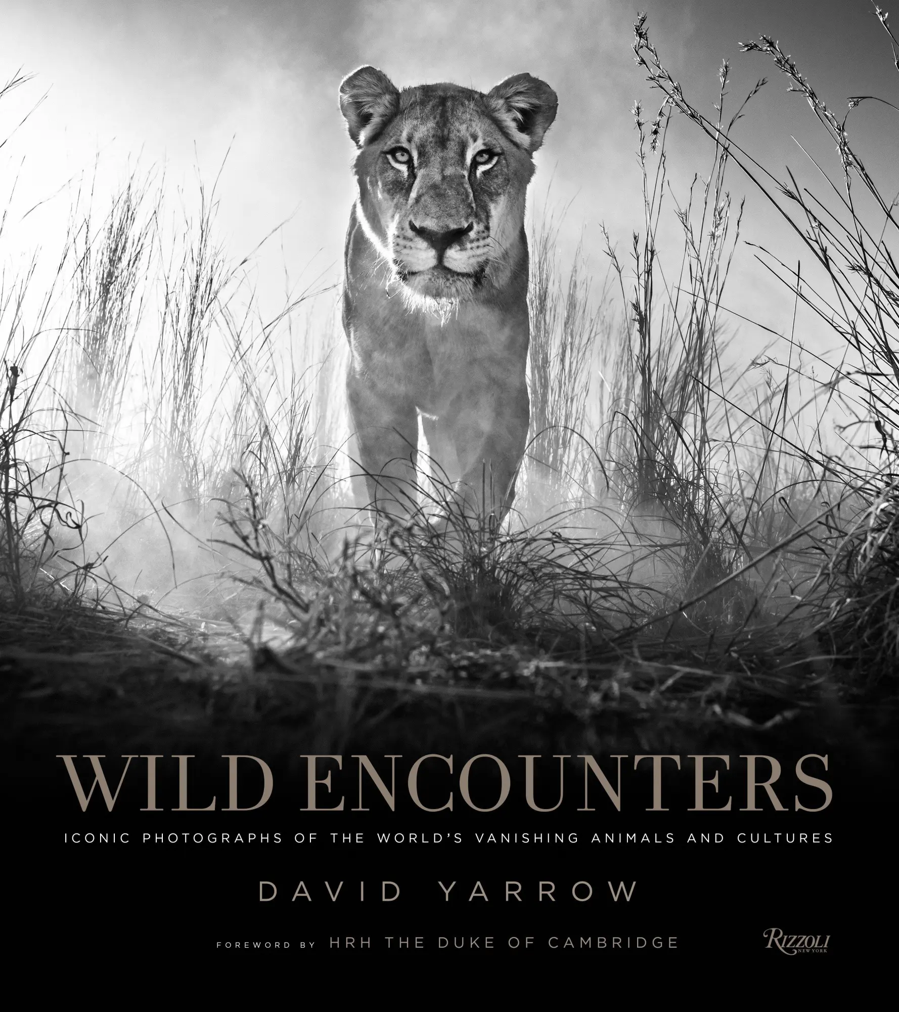 Cover: 9780847858323 | Wild Encounters: Iconic Photographs of the World's Vanishing...