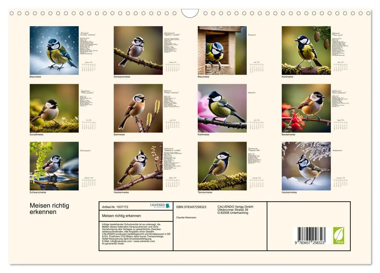 Bild: 9783457258323 | Meisen richtig erkennen (Wandkalender 2026 DIN A3 quer), CALVENDO...