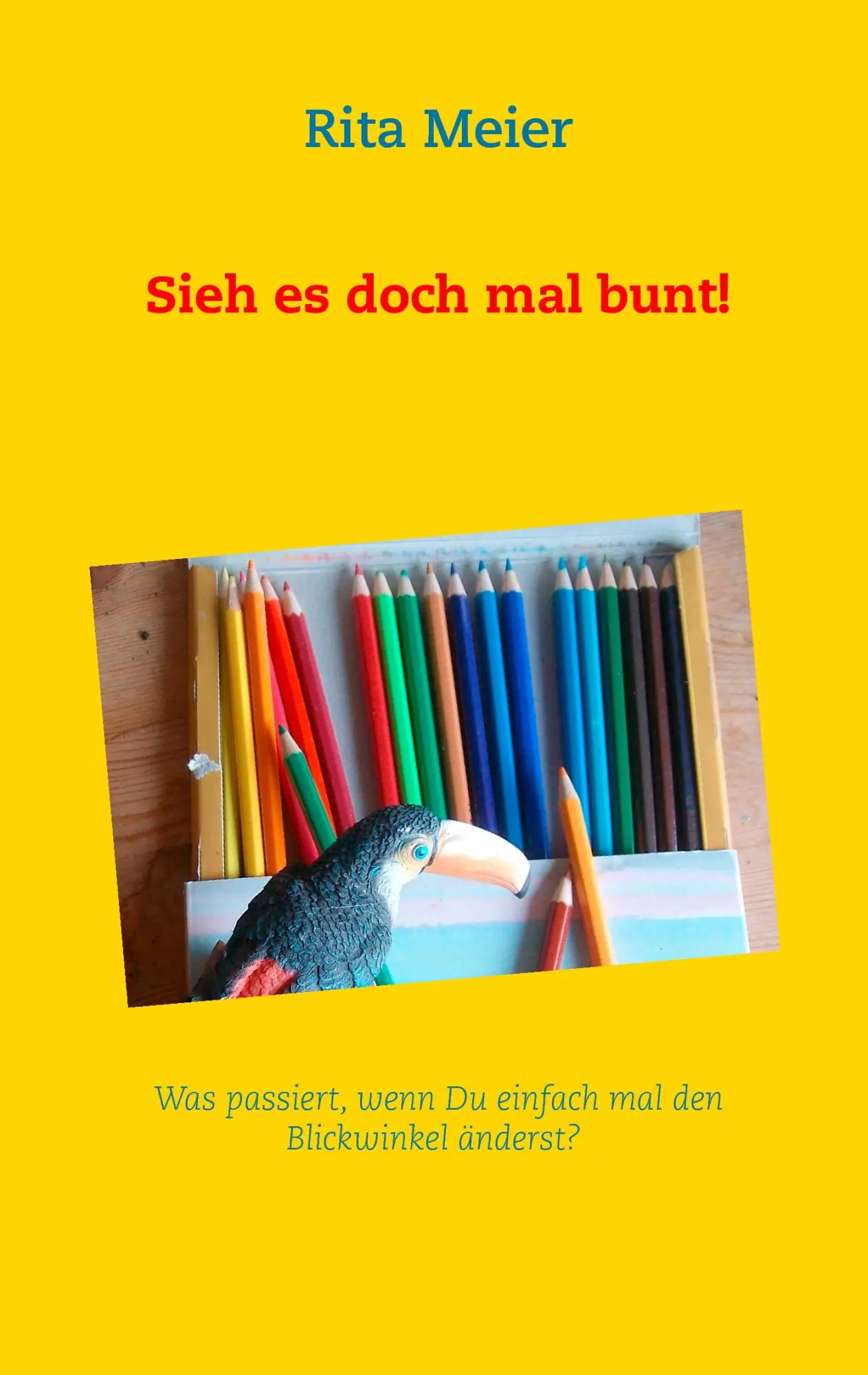 Cover: 9783738658323 | Sieh es doch mal bunt! | Rita Meier | Taschenbuch | 52 S. | Deutsch