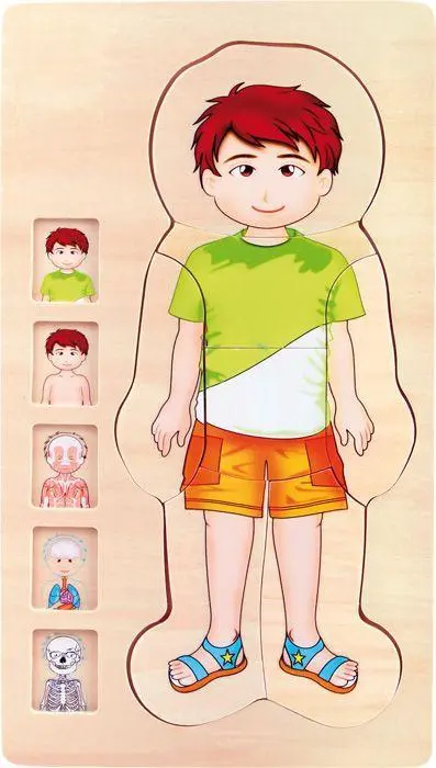 Cover: 4020972058423 | Schichtenpuzzle Anatomie Junge | small foot | Spiel | 5842 | Deutsch