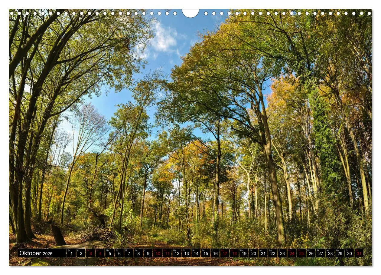 Bild: 9783457868423 | Bottrops schöne Flecken (Wandkalender 2026 DIN A3 quer), CALVENDO...