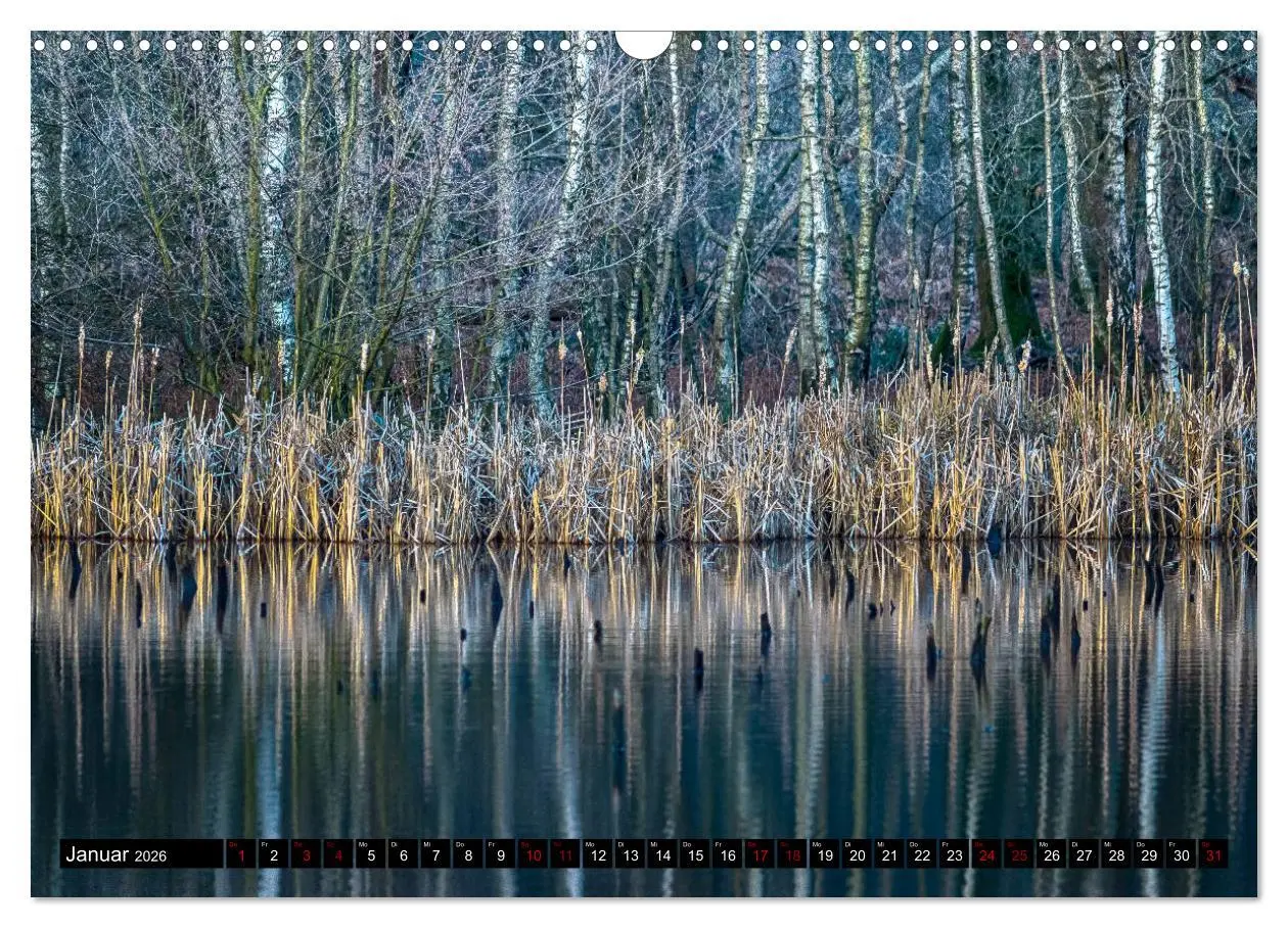 Bild: 9783457868423 | Bottrops schöne Flecken (Wandkalender 2026 DIN A3 quer), CALVENDO...