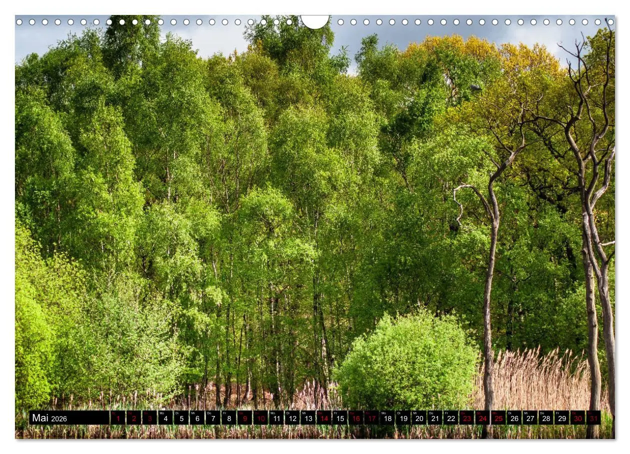 Bild: 9783457868423 | Bottrops schöne Flecken (Wandkalender 2026 DIN A3 quer), CALVENDO...