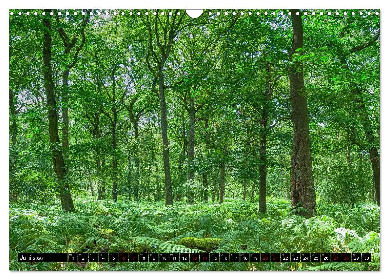 Bild: 9783457868423 | Bottrops schöne Flecken (Wandkalender 2026 DIN A3 quer), CALVENDO...