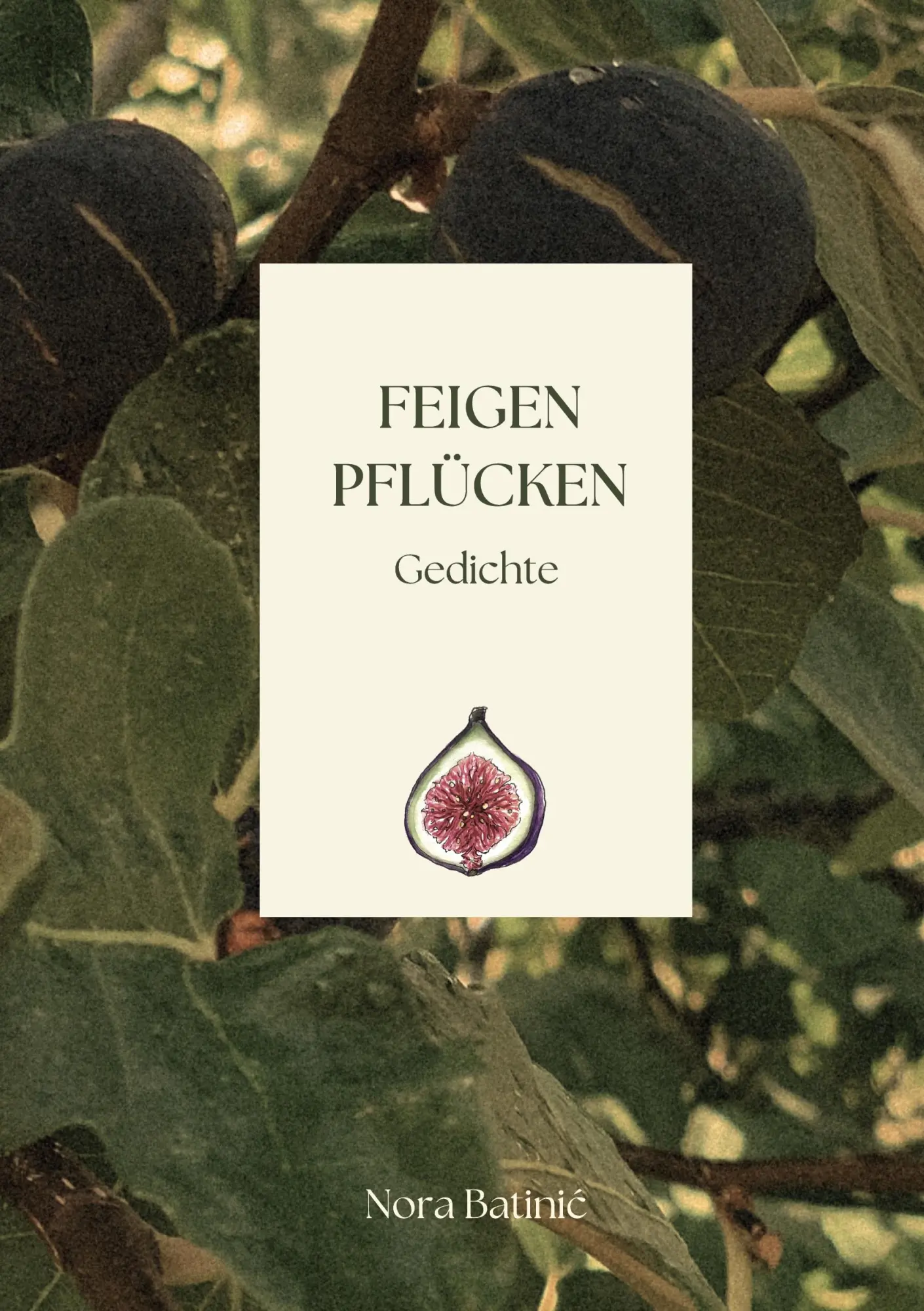 Cover: 9783695158423 | Feigen pflücken | Gedichte | Nora Batinic | Buch | 100 S. | Deutsch