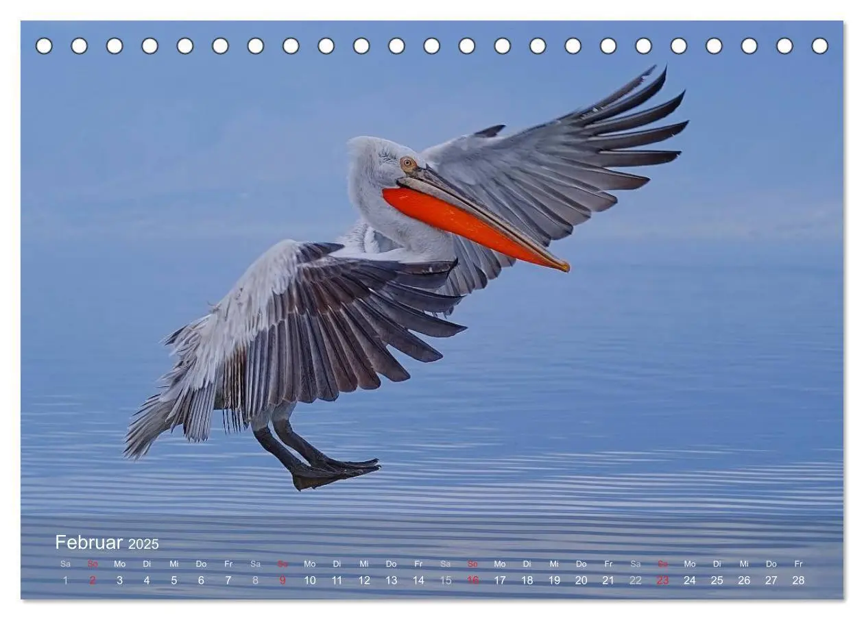 Bild: 9783435698523 | Pelikan-Kalender (Tischkalender 2025 DIN A5 quer), CALVENDO...