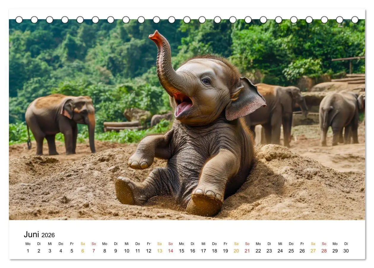 Bild: 9783457308523 | Elefanten Kinder - kleine Riesen (Tischkalender 2026 DIN A5 quer),...
