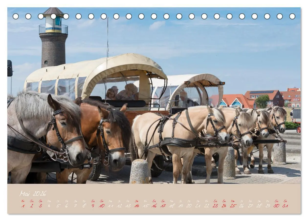 Bild: 9783457398623 | "Töwerland" Juist (Tischkalender 2026 DIN A5 quer), CALVENDO...
