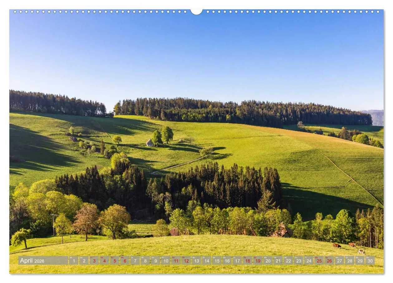 Bild: 9783457458723 | Ein Jahr im Schwarzwald (hochwertiger Premium Wandkalender 2026 DIN...