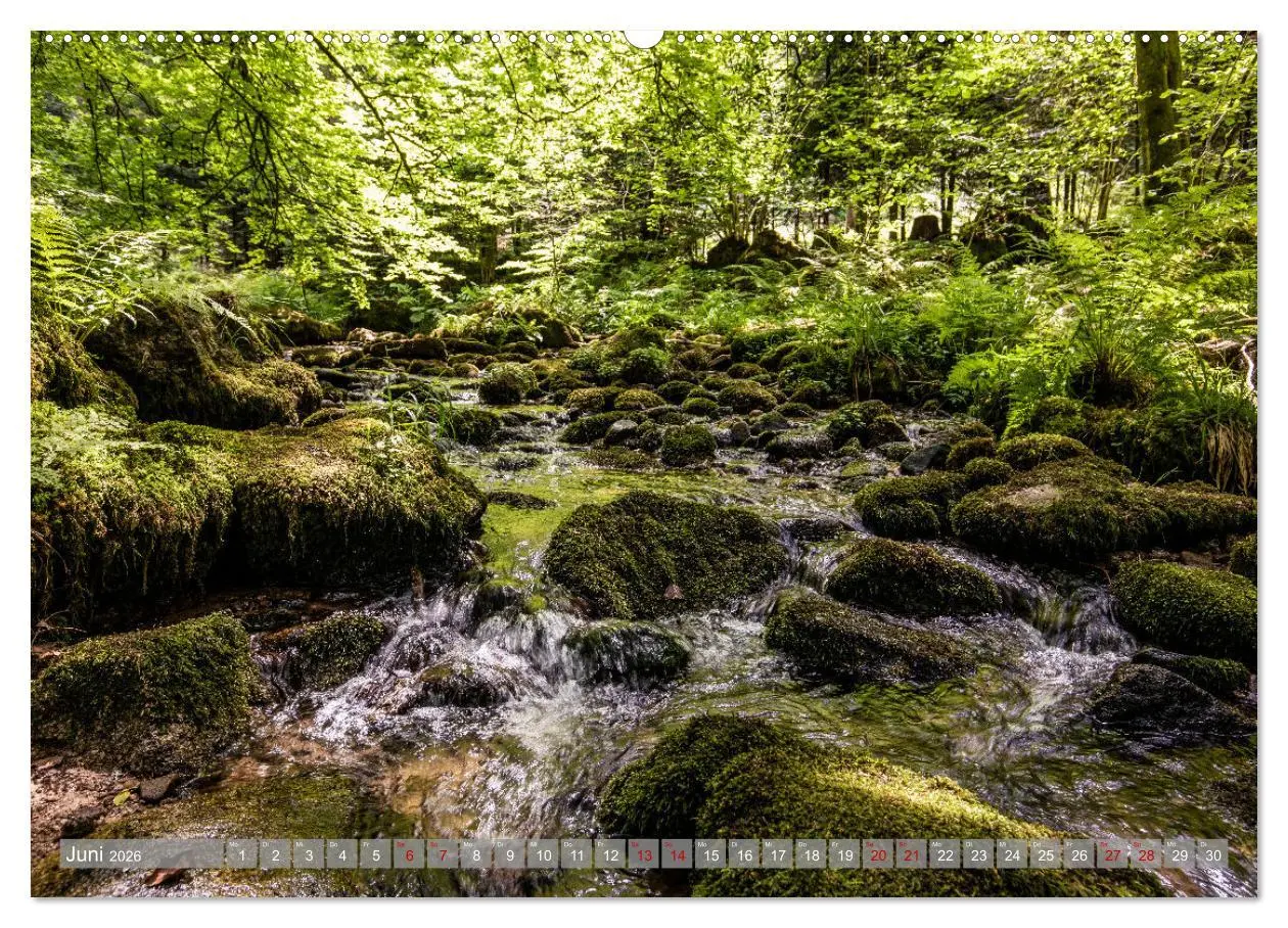 Bild: 9783457458723 | Ein Jahr im Schwarzwald (hochwertiger Premium Wandkalender 2026 DIN...