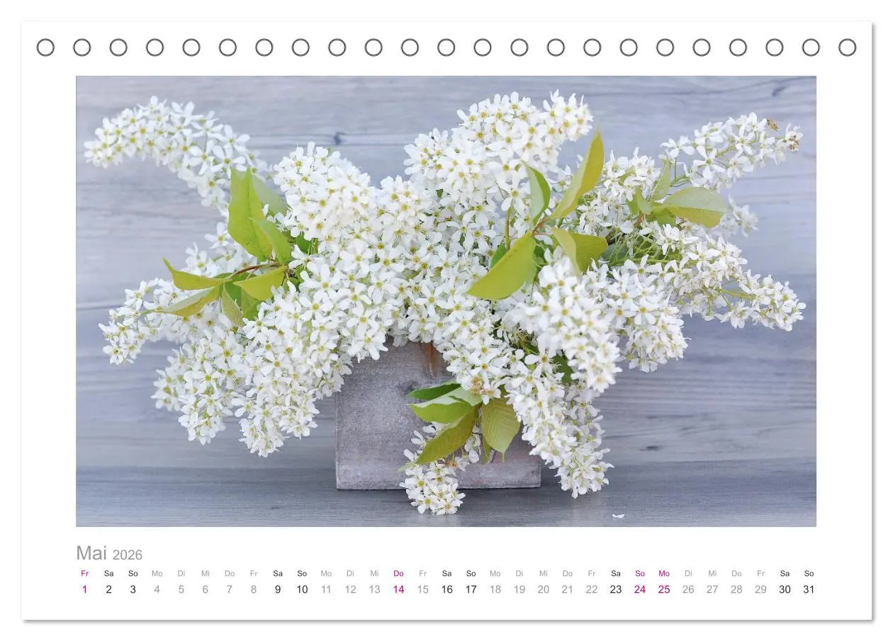 Bild: 9783457908723 | Blumen zart und schön (Tischkalender 2026 DIN A5 quer), CALVENDO...