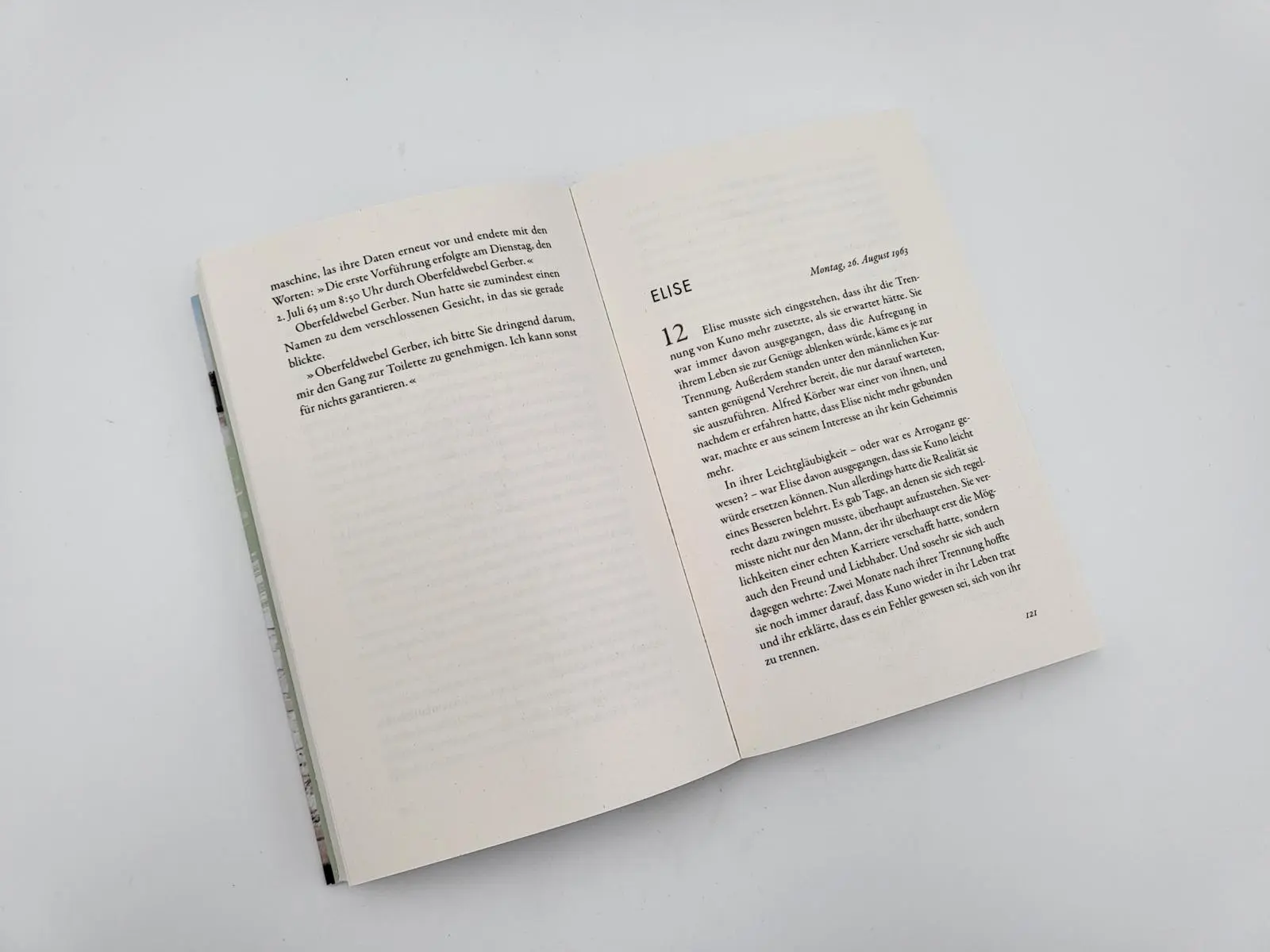 Bild: 9783492318723 | Geteiltes Land - Zwischen Verlust und Liebe | Farina Eden | Buch