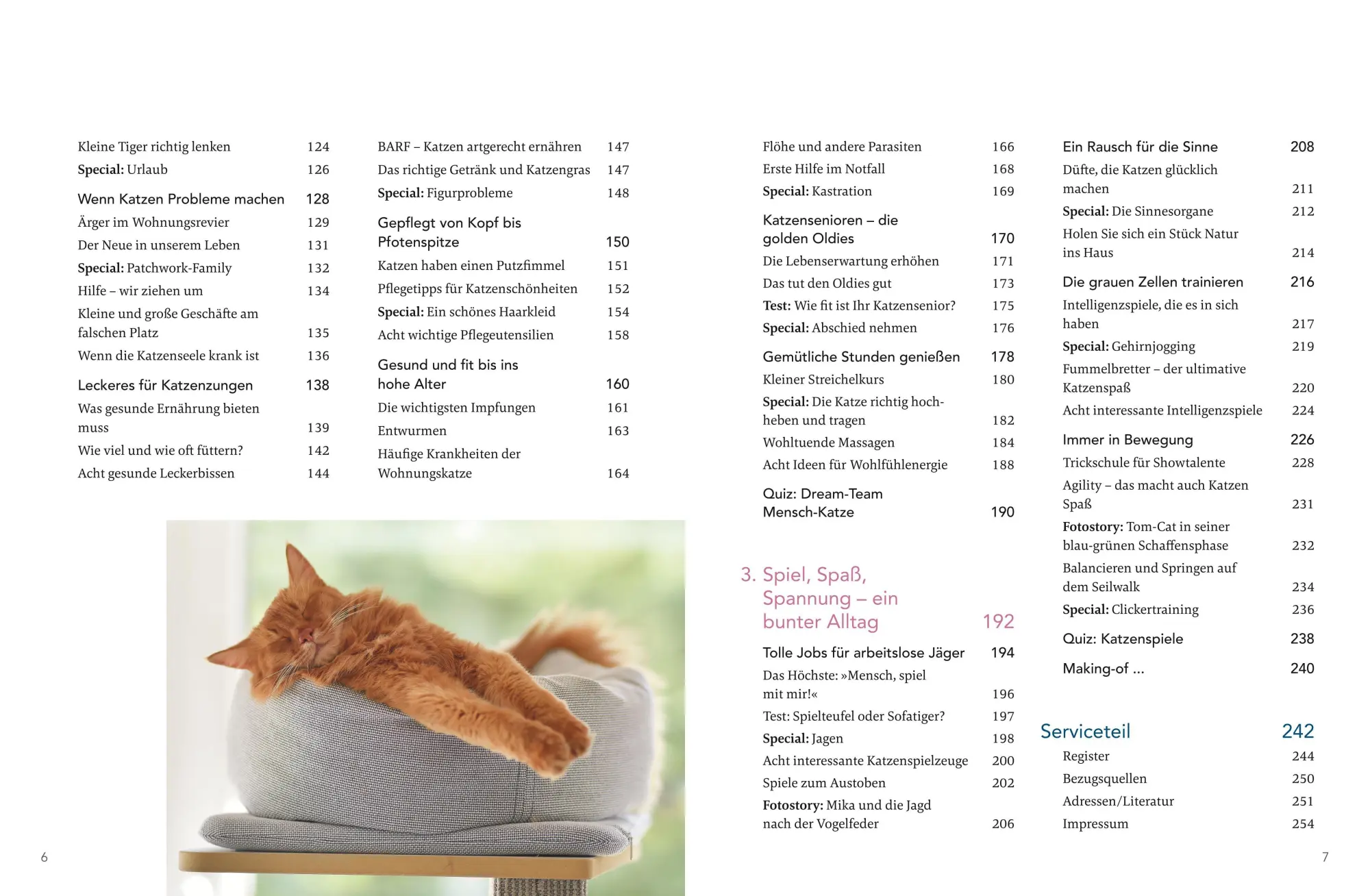 Bild: 9783833898723 | Das große Wohnungskatzen-Wohlfühl-Buch | Gabriele Linke-Grün | Buch