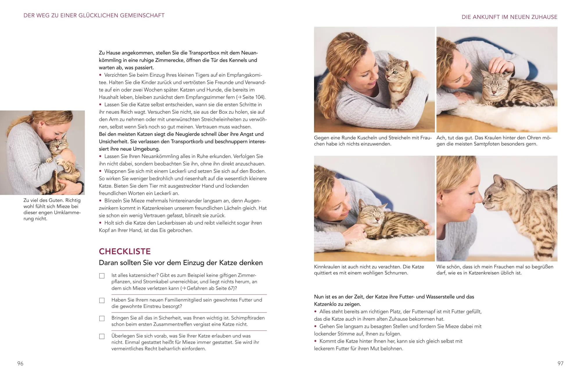 Bild: 9783833898723 | Das große Wohnungskatzen-Wohlfühl-Buch | Gabriele Linke-Grün | Buch