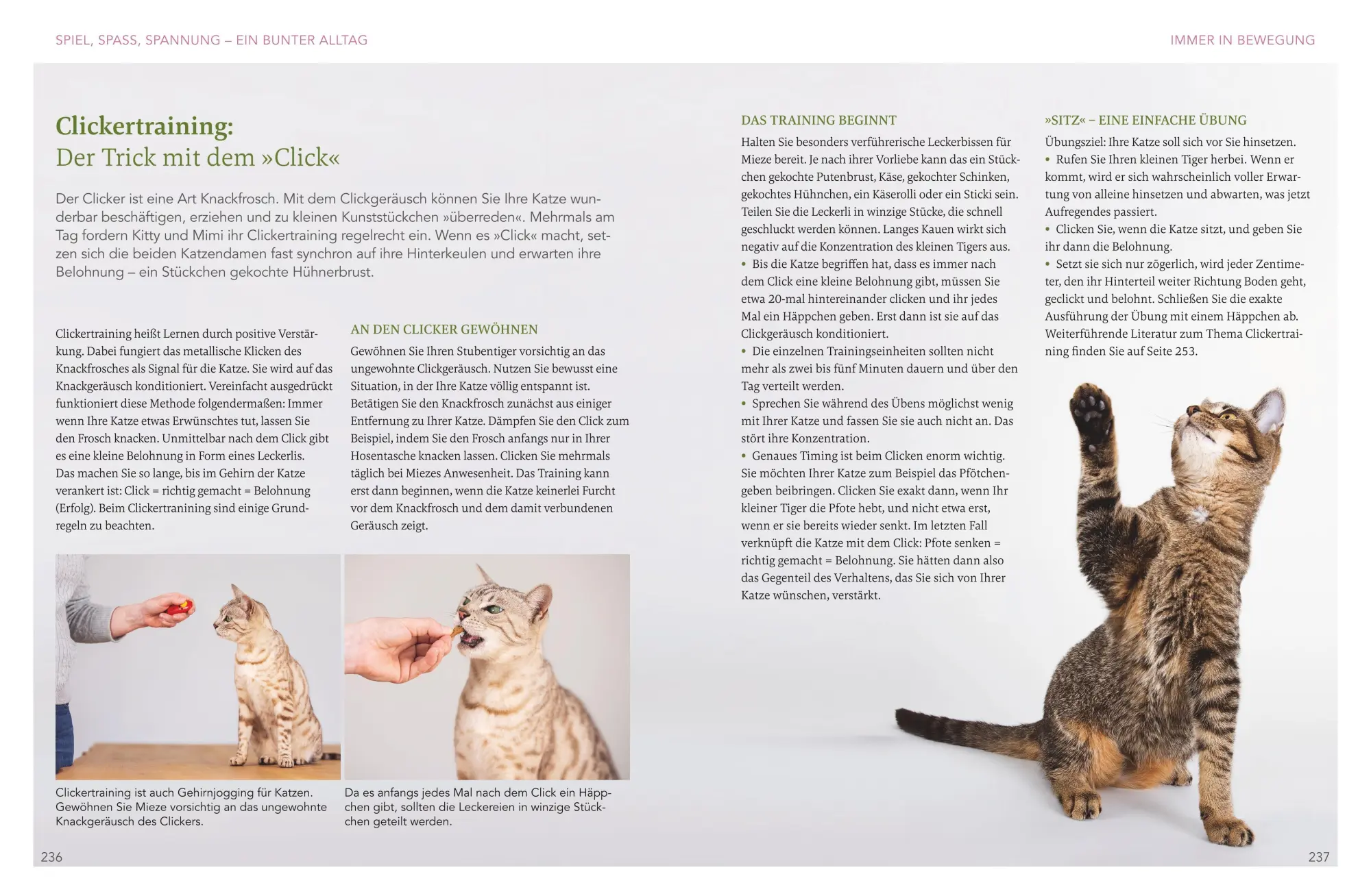 Bild: 9783833898723 | Das große Wohnungskatzen-Wohlfühl-Buch | Gabriele Linke-Grün | Buch