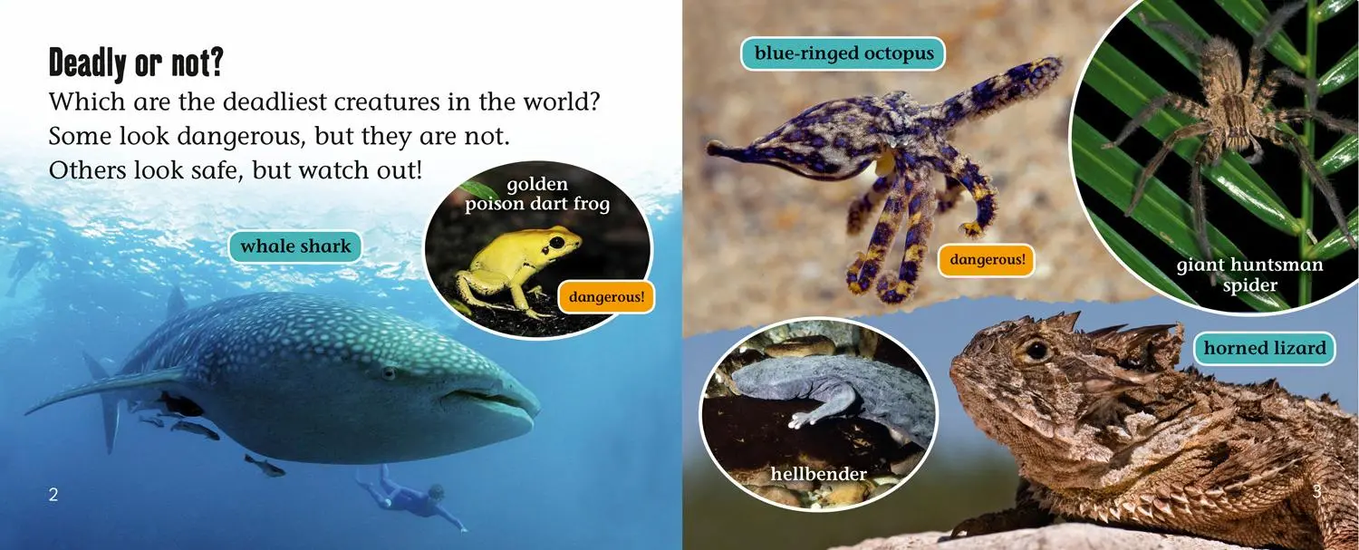 Bild: 9780007428823 | World's Deadliest Creatures | Band 04 Blue/Band 14 Ruby | Claybourne