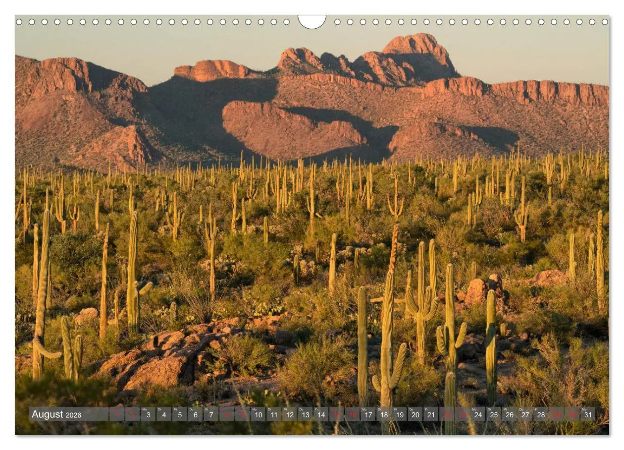 Bild: 9783457688823 | Nationalparks der USA (Wandkalender 2026 DIN A3 quer), CALVENDO...
