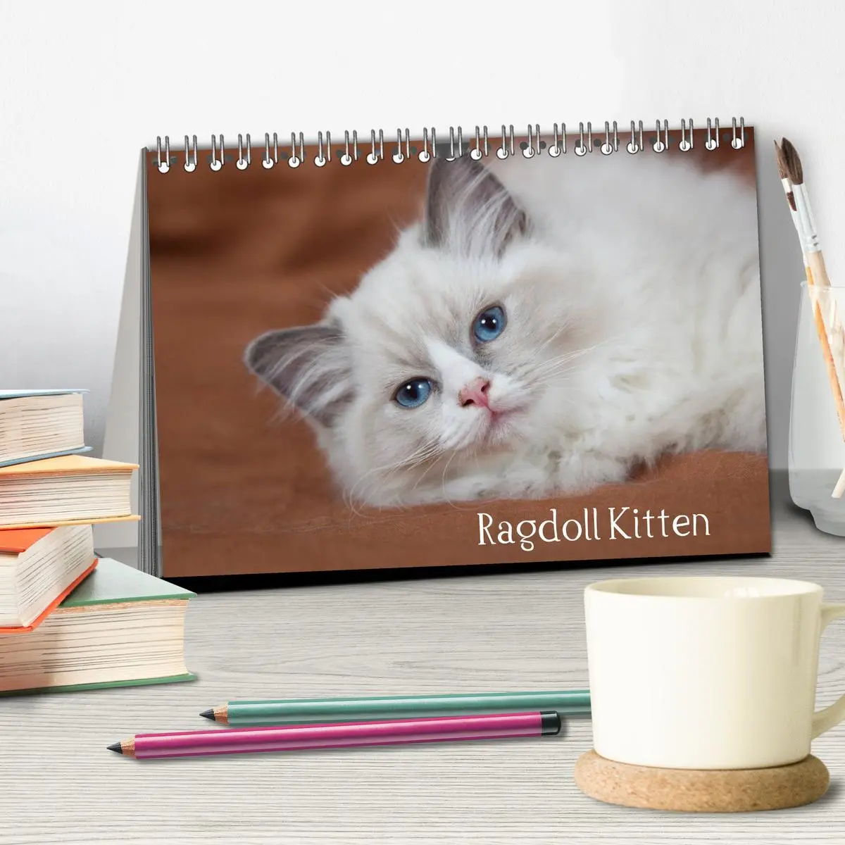 Bild: 9783516158823 | Ragdoll Kitten (Tischkalender 2026 DIN A5 quer), CALVENDO...