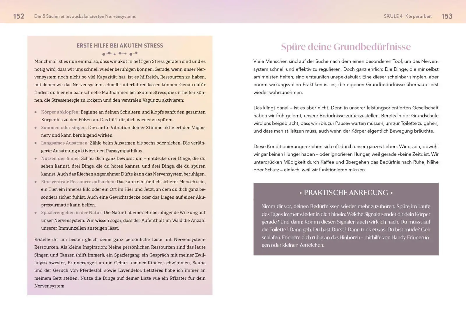 Bild: 9783742328823 | Neustart fürs Nervensystem | Jessica Klebe | Taschenbuch | Neustart