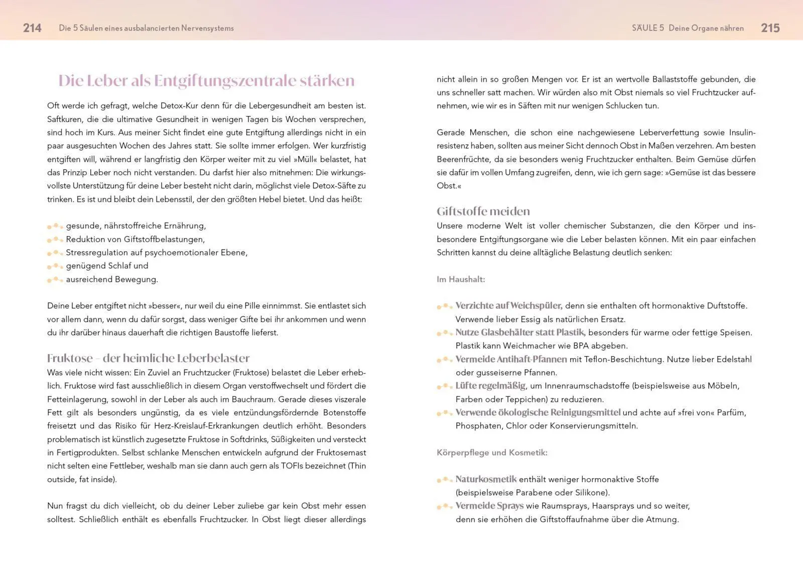 Bild: 9783742328823 | Neustart fürs Nervensystem | Jessica Klebe | Taschenbuch | Neustart