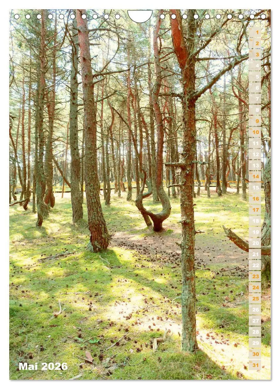 Bild: 9783516388923 | Kurische Nehrung - Am langen, weichen Ostsee-Strand (Wandkalender...