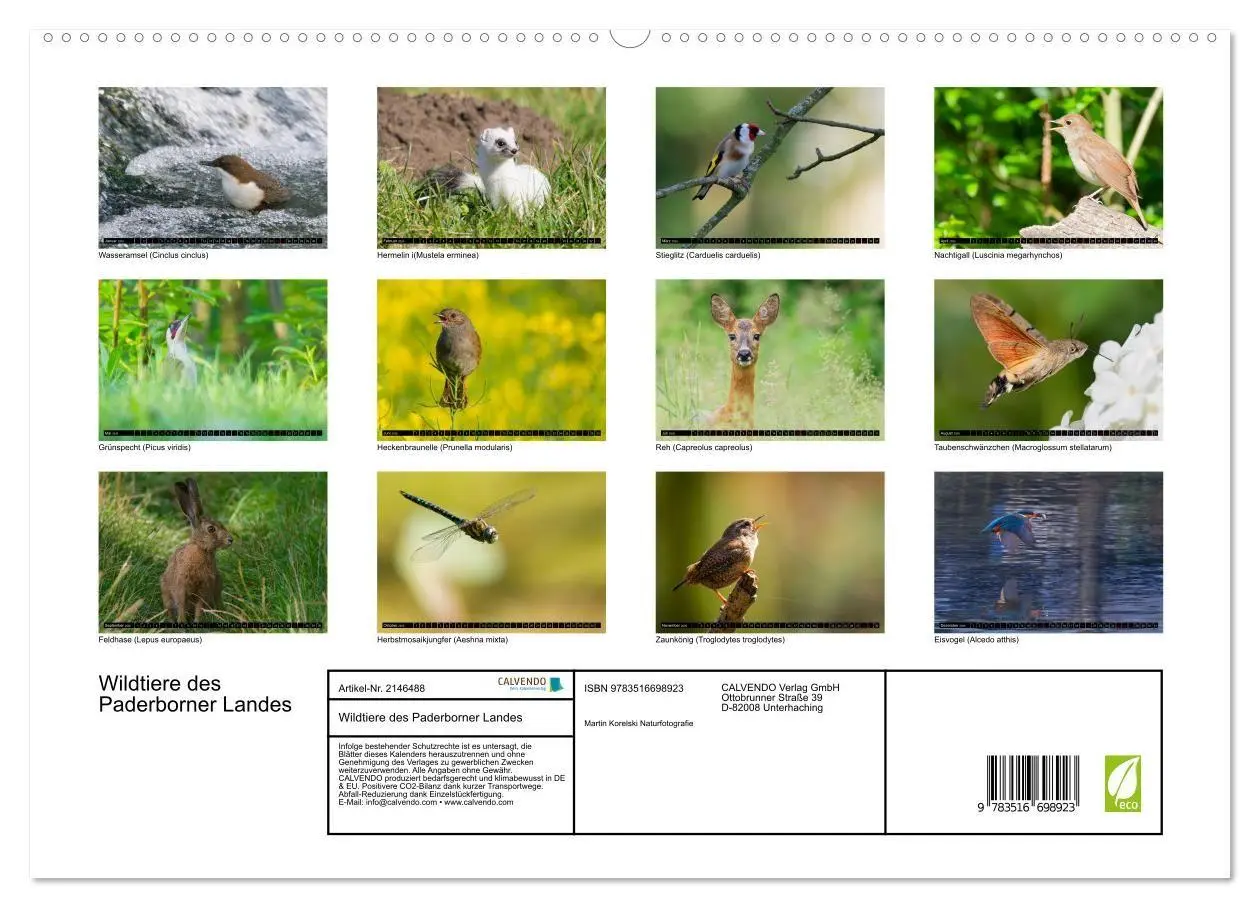 Bild: 9783516698923 | Wildtiere des Paderborner Landes (hochwertiger Premium Wandkalender...