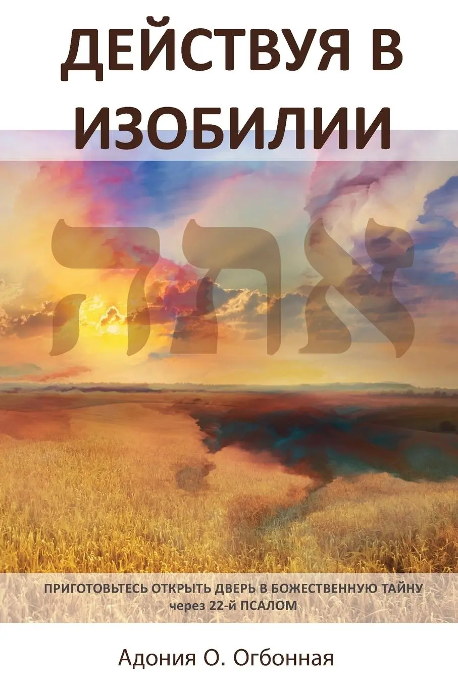 Cover: 9781964959023 | Russian Edition - Operating in Abundance | Adonijah O. Ogbonnaya