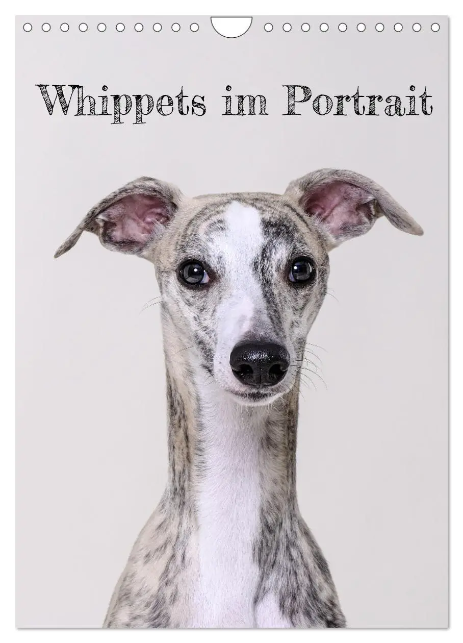 Cover: 9783435859023 | Whippets im Portrait (Wandkalender 2025 DIN A4 hoch), CALVENDO...