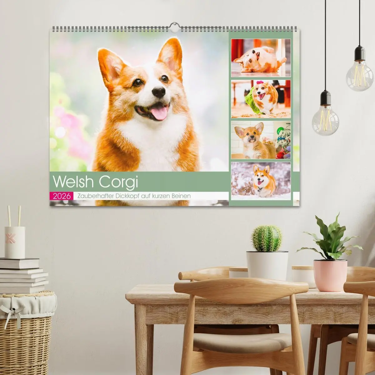 Bild: 9783457569023 | Welsh Corgi. Zauberhafter Dickkopf auf kurzen Beinen (Wandkalender...
