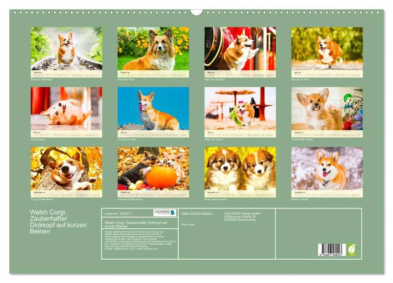 Bild: 9783457569023 | Welsh Corgi. Zauberhafter Dickkopf auf kurzen Beinen (Wandkalender...