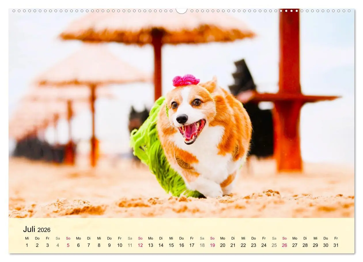 Bild: 9783457569023 | Welsh Corgi. Zauberhafter Dickkopf auf kurzen Beinen (Wandkalender...