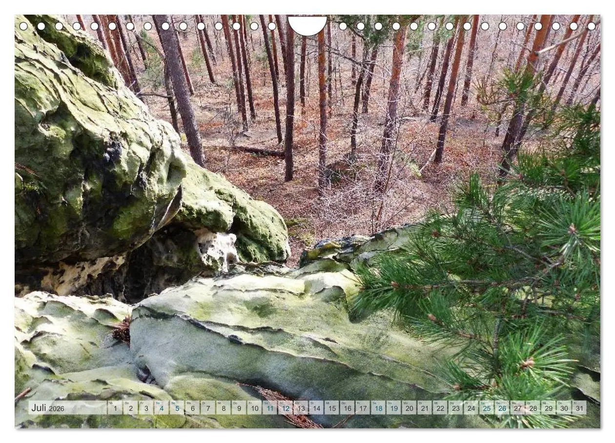 Bild: 9783457949023 | Blankenburg im Harz (Wandkalender 2026 DIN A4 quer), CALVENDO...