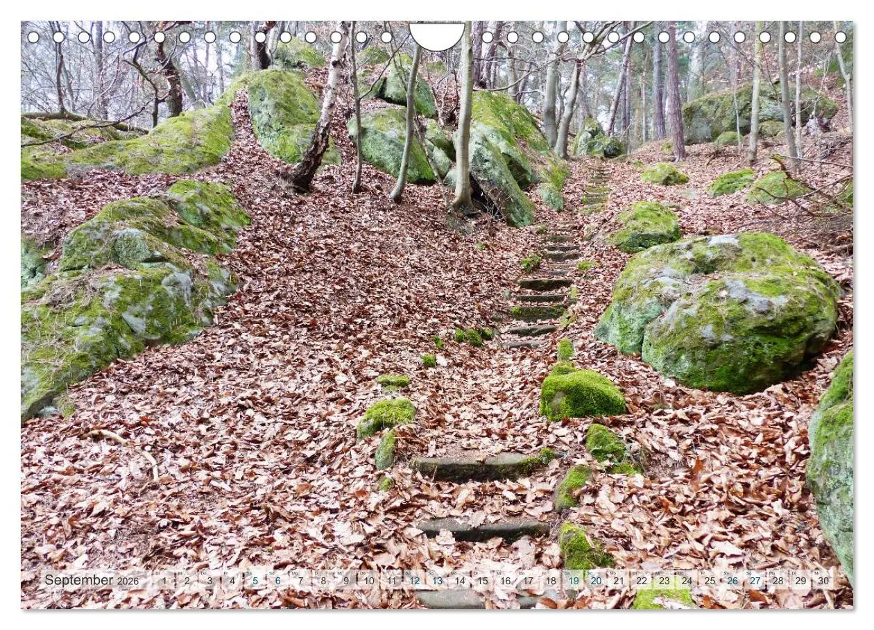 Bild: 9783457949023 | Blankenburg im Harz (Wandkalender 2026 DIN A4 quer), CALVENDO...