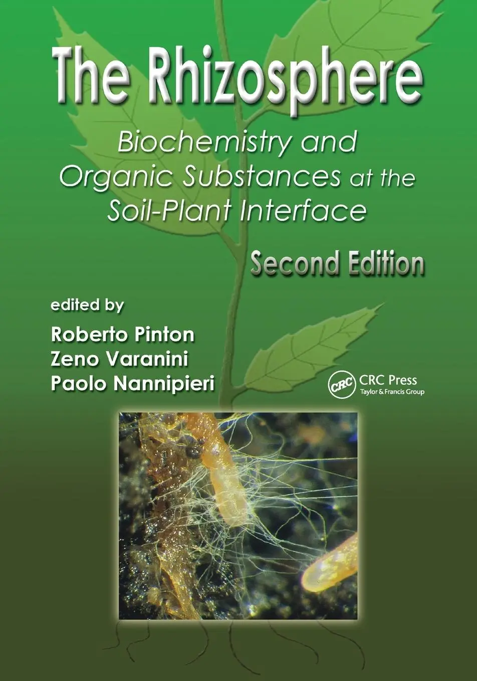 Cover: 9780367389123 | The Rhizosphere | Roberto Pinton (u. a.) | Taschenbuch | Englisch