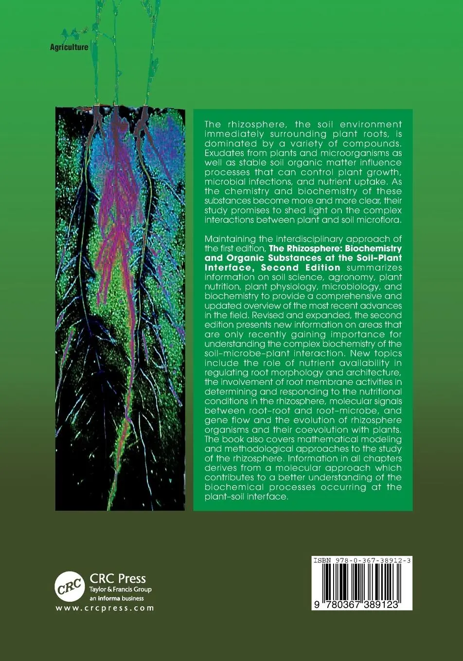 Rückseite: 9780367389123 | The Rhizosphere | Roberto Pinton (u. a.) | Taschenbuch | Englisch