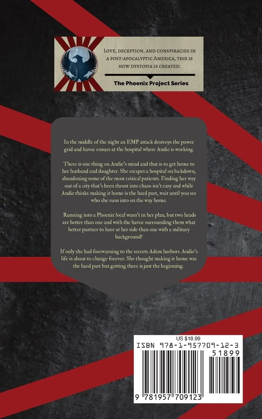 Rückseite: 9781957709123 | The Phoenix Project | M. R. Pritchard | Taschenbuch | Englisch | 2022