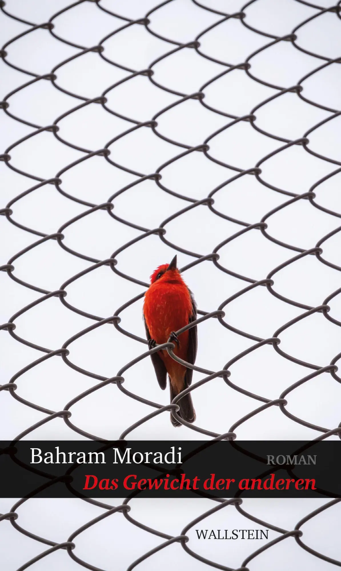 Cover: 9783835359123 | Das Gewicht der anderen | Roman | Bahram Moradi | Buch | 432 S. | 2025