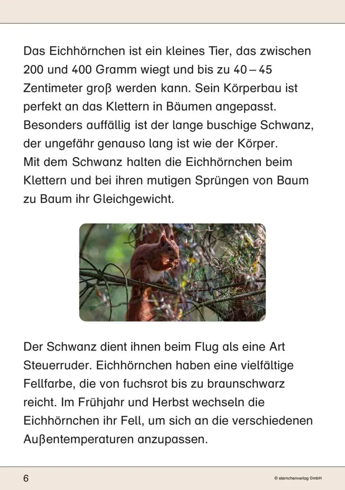 Bild: 9783910429123 | Ich kenne das Eichhörnchen | sternchenverlag GmbH (u. a.) | Buch