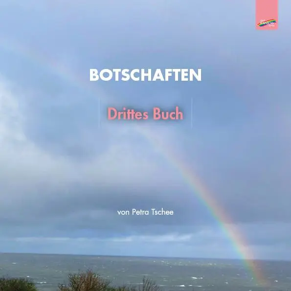 Cover: 9783911109123 | Botschaften | Drittes Buch | Petra Tschee | Taschenbuch | Deutsch