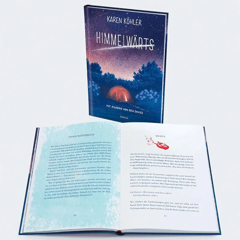 Bild: 9783446279223 | Himmelwärts | Karen Köhler | Buch | 192 S. | Deutsch | 2024