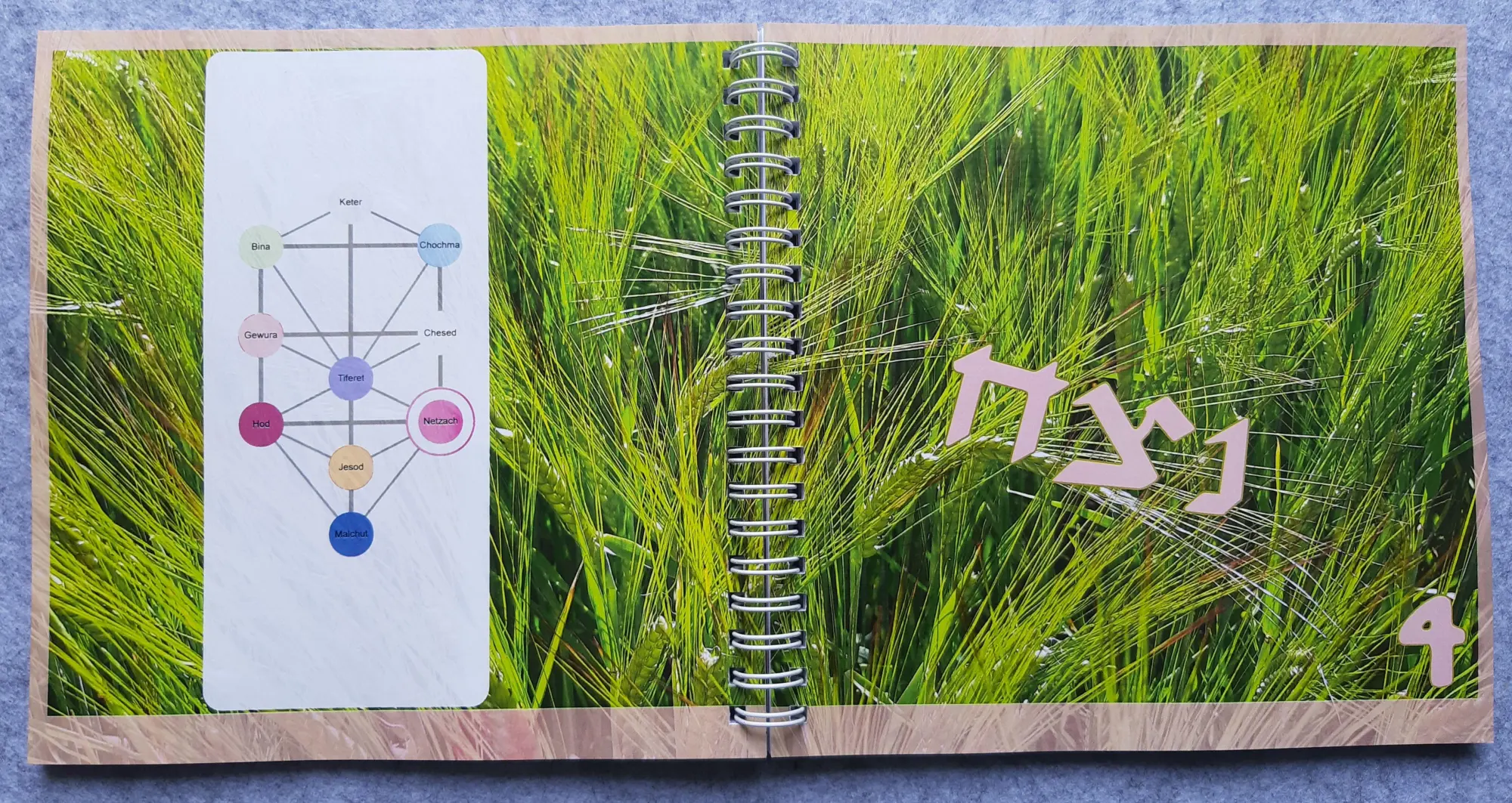 Bild: 9783949819223 | Omer-Kalender (Ringbuch-Tischkalender) | Hana Gross | Taschenbuch