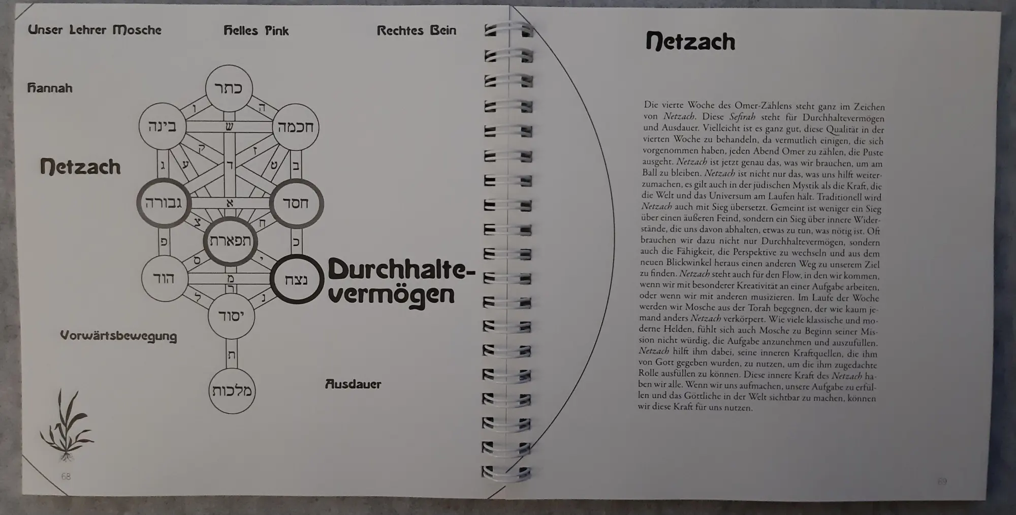Bild: 9783949819223 | Omer-Kalender (Ringbuch-Tischkalender) | Hana Gross | Taschenbuch