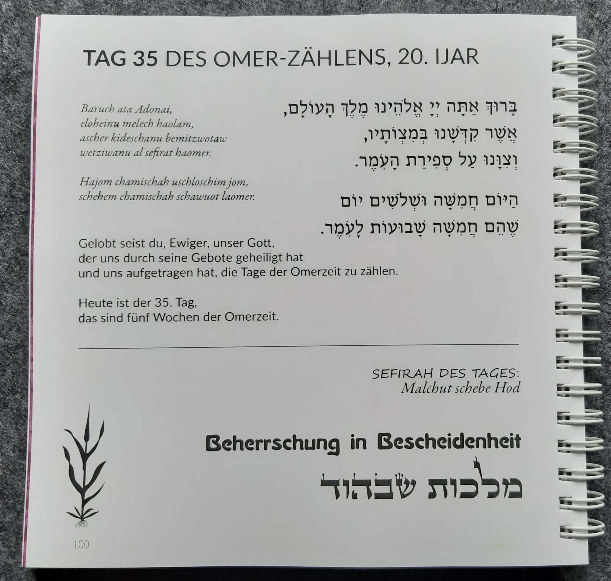 Bild: 9783949819223 | Omer-Kalender (Ringbuch-Tischkalender) | Hana Gross | Taschenbuch