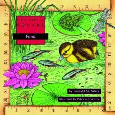 Cover: 9780070579323 | Pond | Donald M Silver (u. a.) | Taschenbuch | Kartoniert / Broschiert